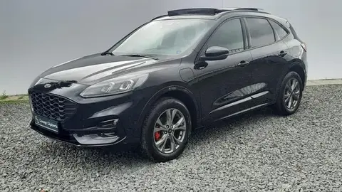 Annonce FORD KUGA Hybride 2023 d'occasion 