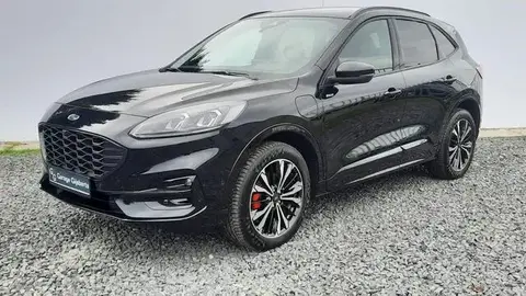 Annonce FORD KUGA Hybride 2023 d'occasion 