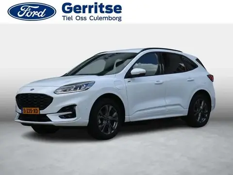 Annonce FORD KUGA Hybride 2023 d'occasion 