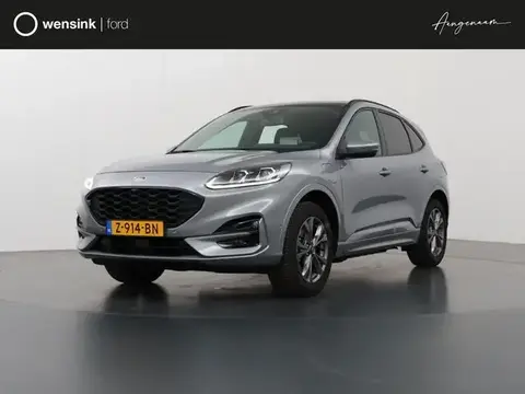 Annonce FORD KUGA Hybride 2022 d'occasion 