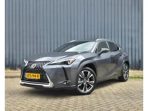 Used LEXUS UX Hybrid 2023 Ad 