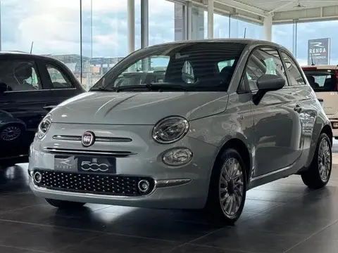 Used FIAT 500 Petrol 2023 Ad 