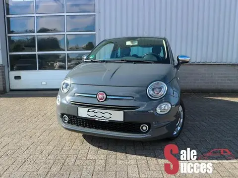 Used FIAT 500 Petrol 2017 Ad 