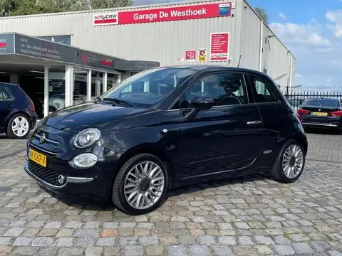 Used FIAT 500 Petrol 2017 Ad 