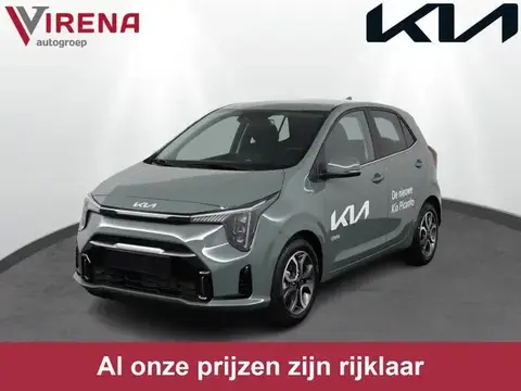 Used KIA PICANTO Petrol 2024 Ad 