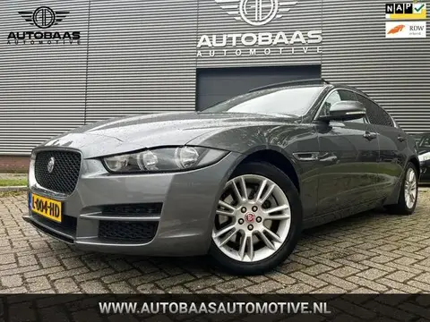 Used JAGUAR XE Petrol 2016 Ad 