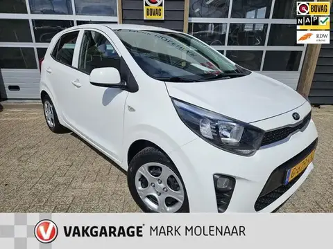 Used KIA PICANTO Petrol 2019 Ad 