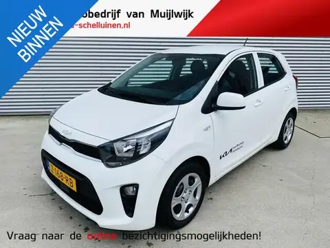 Used KIA PICANTO Petrol 2024 Ad 