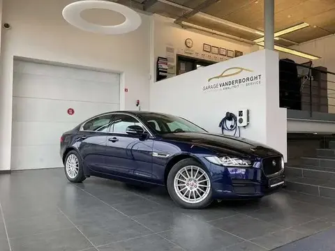 Annonce JAGUAR XE Diesel 2019 d'occasion 