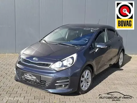 Used KIA RIO Petrol 2016 Ad 