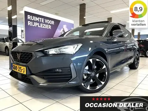 Annonce CUPRA LEON Hybride 2023 d'occasion 