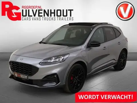 Annonce FORD KUGA Hybride 2023 d'occasion 