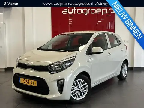 Used KIA PICANTO Petrol 2023 Ad 