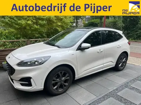 Annonce FORD KUGA Essence 2021 d'occasion 