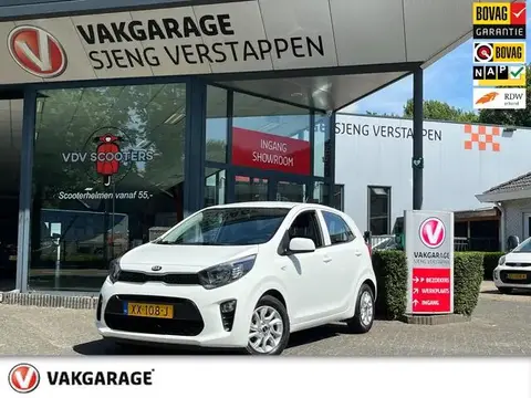 Used KIA PICANTO Petrol 2019 Ad 