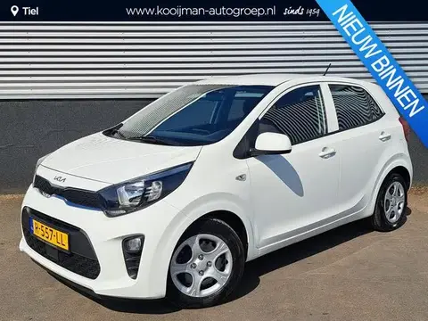 Used KIA PICANTO Petrol 2022 Ad 