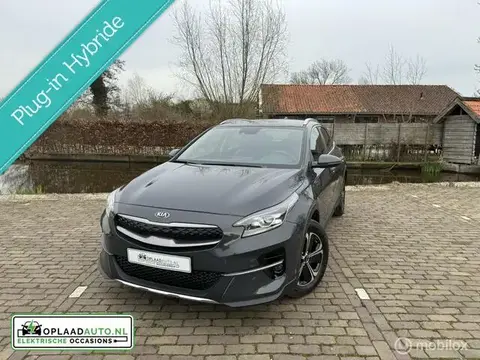 Used KIA XCEED Hybrid 2021 Ad 