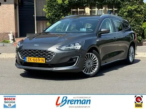 Used FORD FOCUS Petrol 2019 Ad 