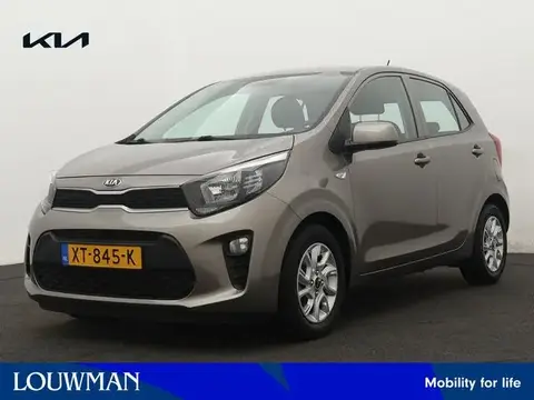 Used KIA PICANTO Petrol 2019 Ad 