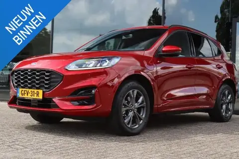 Annonce FORD KUGA Hybride 2023 d'occasion 