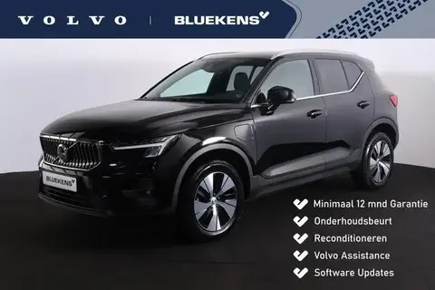 Used VOLVO XC40 Hybrid 2023 Ad 