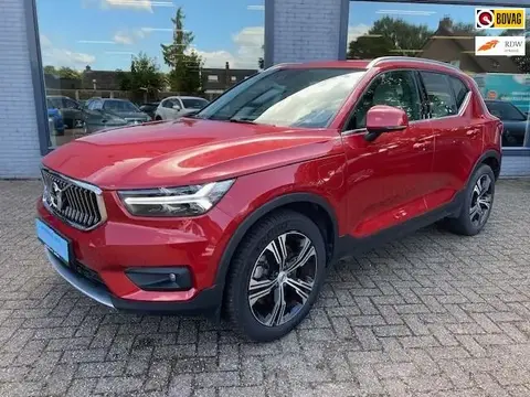 Used VOLVO XC40 Hybrid 2021 Ad 