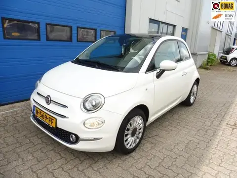 Used FIAT 500 Petrol 2017 Ad 