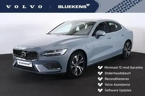 Used VOLVO S60 Hybrid 2024 Ad 