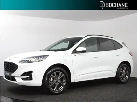 Annonce FORD KUGA Hybride 2023 d'occasion 