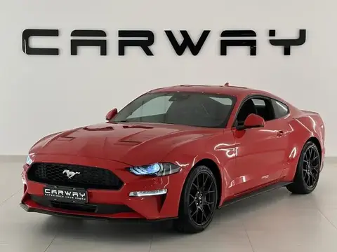 Annonce FORD MUSTANG Essence 2024 d'occasion 