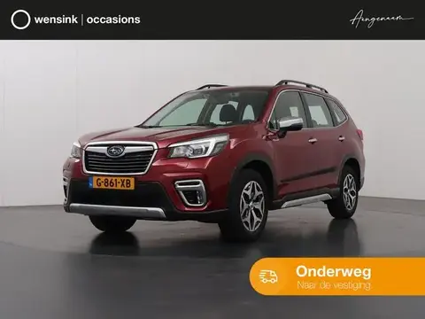 Used SUBARU FORESTER Petrol 2019 Ad 