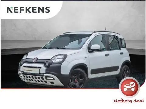 Used FIAT PANDA Hybrid 2023 Ad 