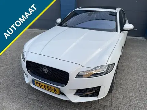 Annonce JAGUAR XF Diesel 2017 d'occasion 