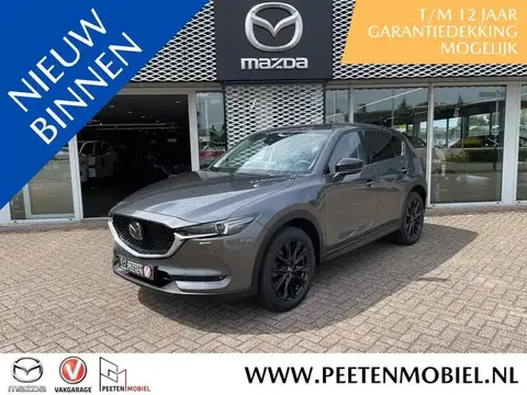 Used MAZDA CX-5 Petrol 2021 Ad 