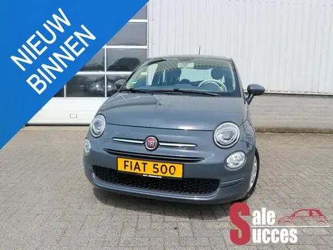 Used FIAT 500 Petrol 2017 Ad 