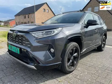 Annonce TOYOTA RAV4 Hybride 2021 d'occasion 