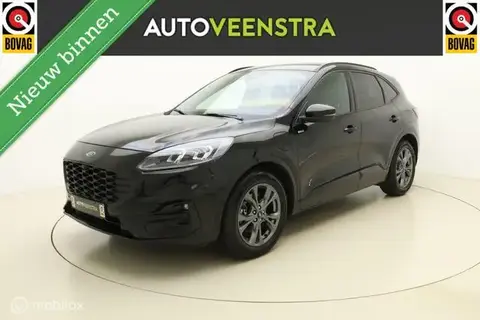 Used FORD KUGA Hybrid 2020 Ad 