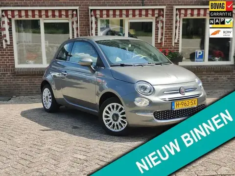 Used FIAT 500 Petrol 2020 Ad 