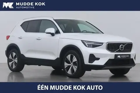 Used VOLVO XC40 Hybrid 2023 Ad 