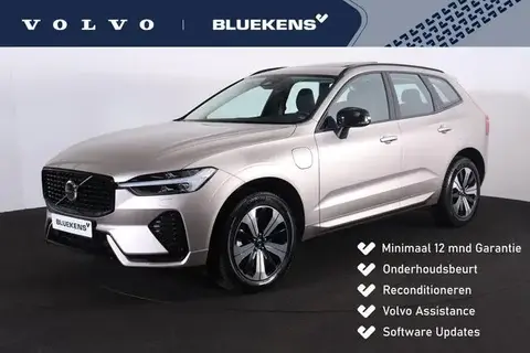 Used VOLVO XC60 Hybrid 2023 Ad 