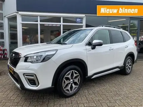 Used SUBARU FORESTER Petrol 2021 Ad 