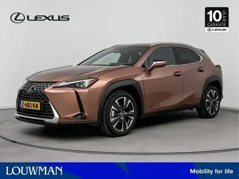 Used LEXUS UX Hybrid 2024 Ad 