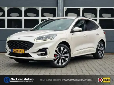 Annonce FORD KUGA Hybride 2023 d'occasion 