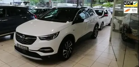 Used OPEL GRANDLAND Petrol 2019 Ad 