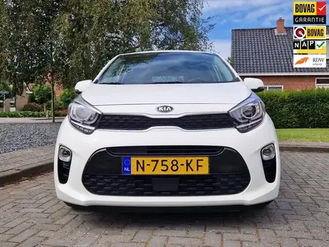 Used KIA PICANTO Petrol 2021 Ad 