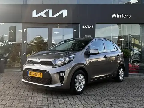 Used KIA PICANTO Petrol 2018 Ad 