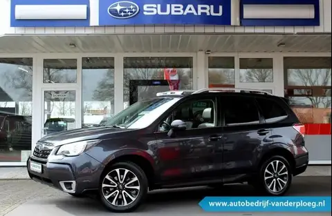 Used SUBARU FORESTER Petrol 2017 Ad 