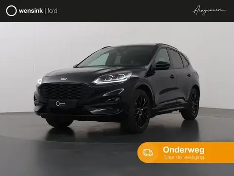 Used FORD KUGA Hybrid 2023 Ad 