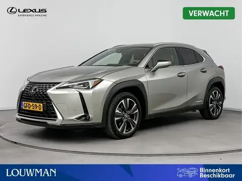 Used LEXUS UX Hybrid 2019 Ad 