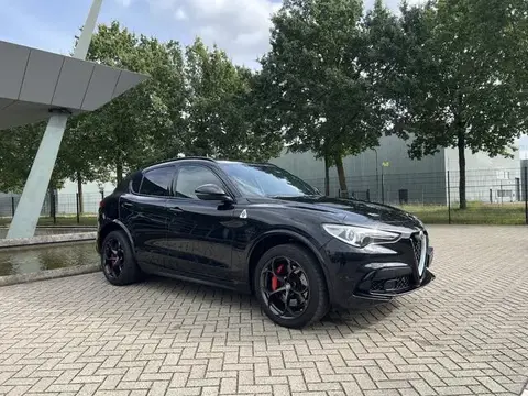 Used ALFA ROMEO STELVIO Petrol 2019 Ad 